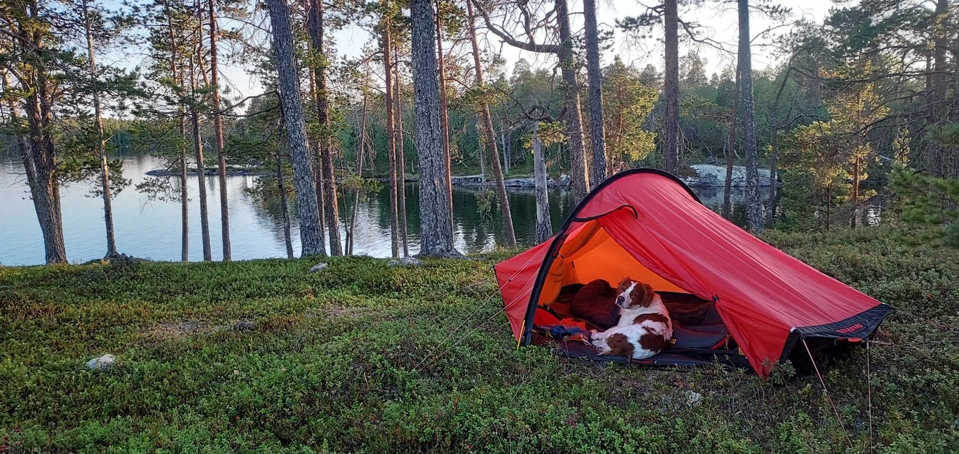 Vätsäri 2024 dagbog